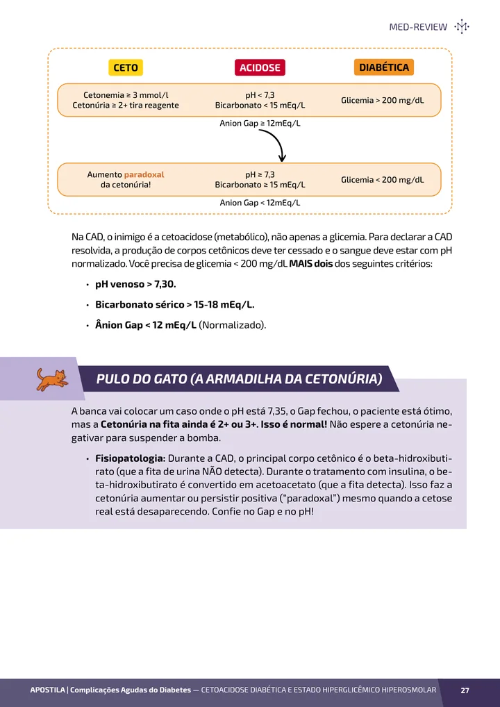Página interna da apostila sobre Complicações agudas do diabetes: CAD e EHH