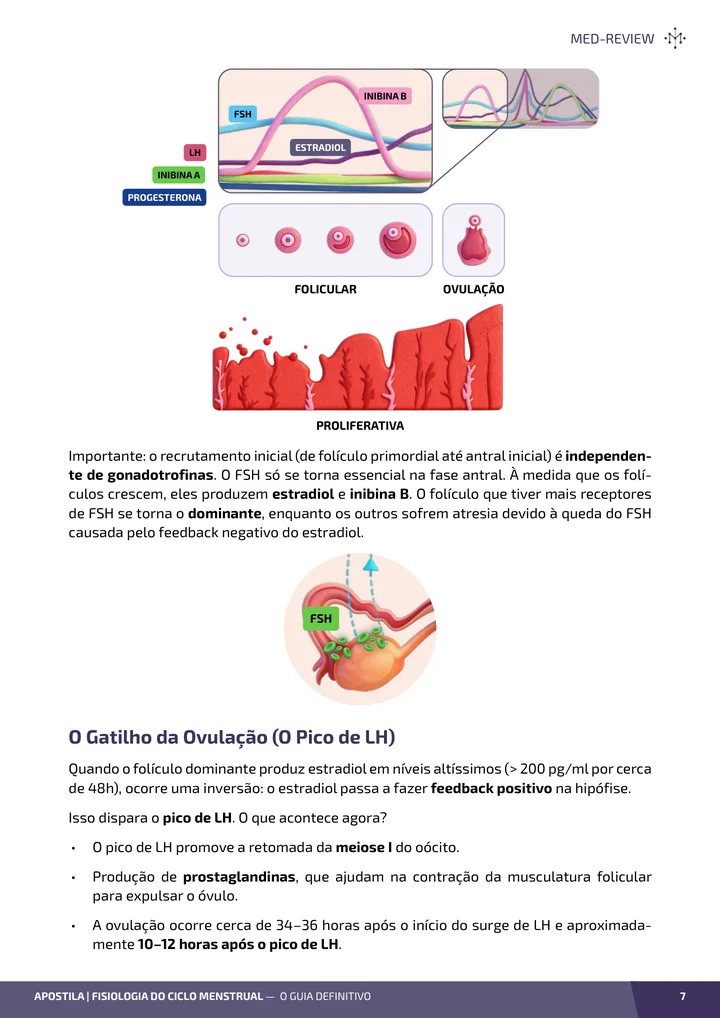 Página interna da apostila sobre Fisiologia do ciclo menstrual