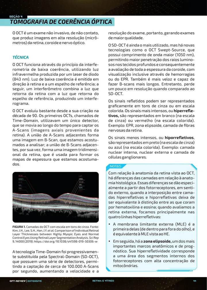Página interna da apostila sobre Autofluorescência, OCT e OCT-A na retina