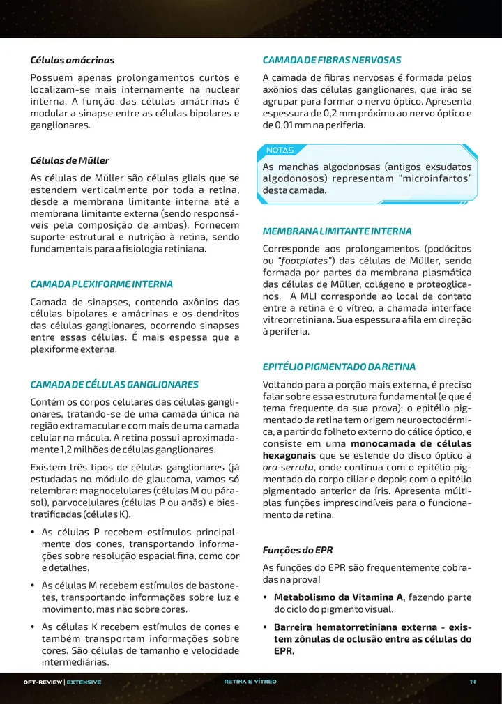 Página interna da apostila sobre Anatomia e camadas da retina