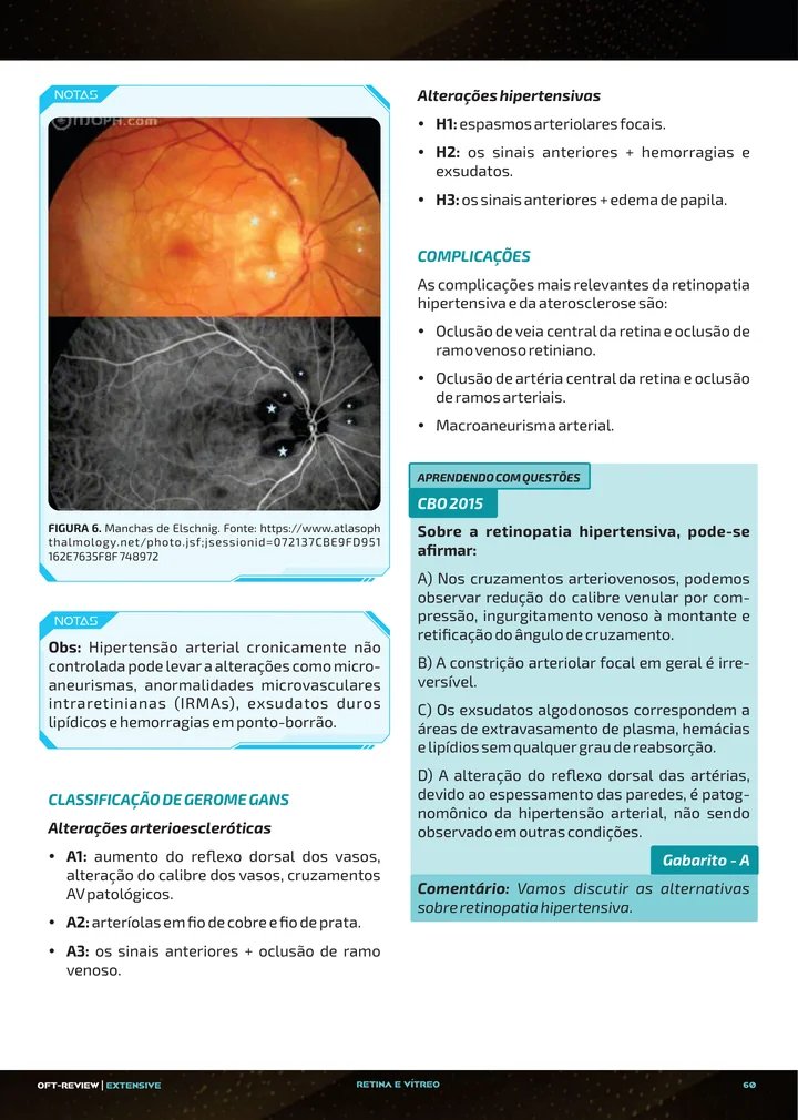 Página interna da apostila sobre Retinopatia hipertensiva e oclusões venosas da retina