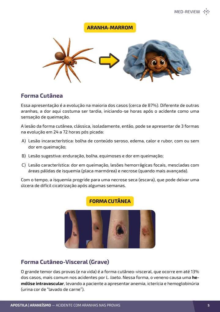 Página interna da apostila sobre Araneísmo: acidente com aranhas nas provas
