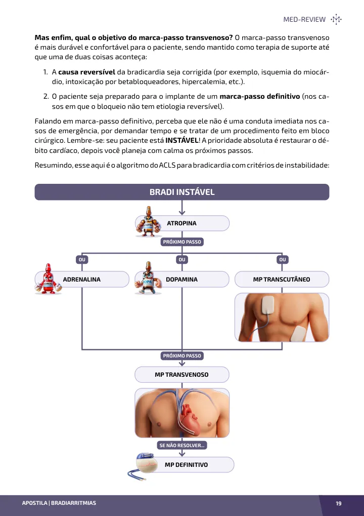 Página interna da apostila sobre Bradiarritmias: bradicardia sinusal, BAVs e marca-passo