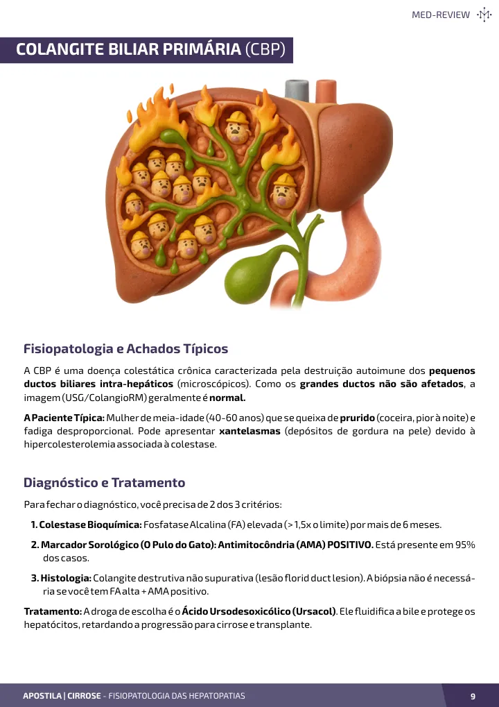 Página interna da apostila sobre Etiologia das hepatopatias: mecanismos de lesão e evolução para cirrose