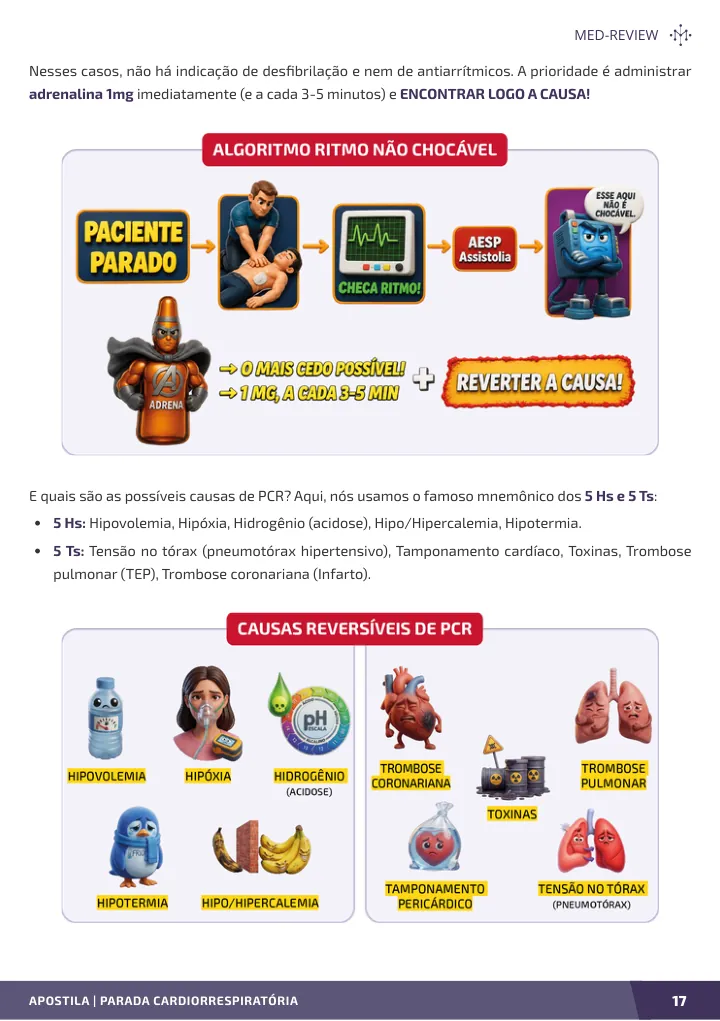 Página interna da apostila sobre Parada cardiorrespiratória
