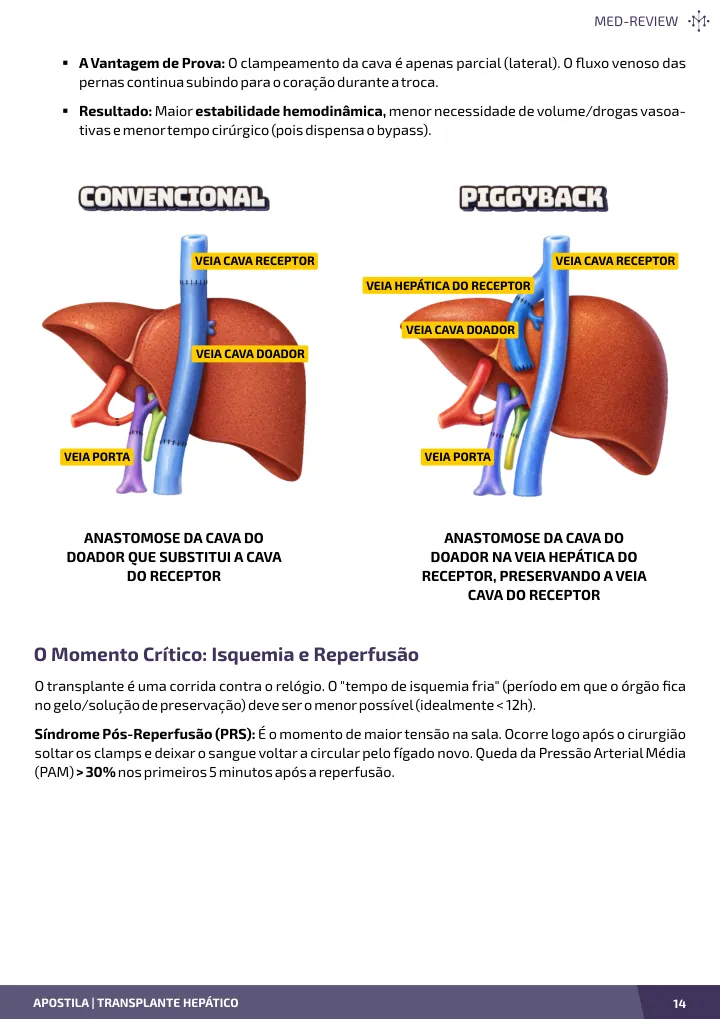 Página interna da apostila sobre Transplante hepático: indicações, alocação e técnica cirúrgica