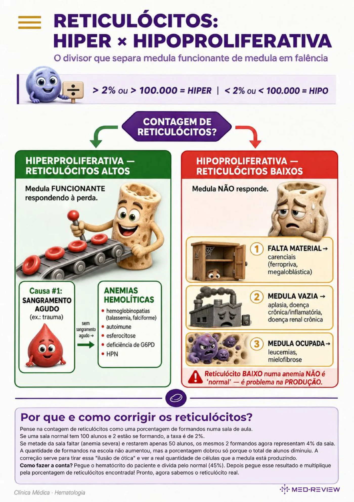 Página da ficha-resumo Anemias carenciais e de doença crônica