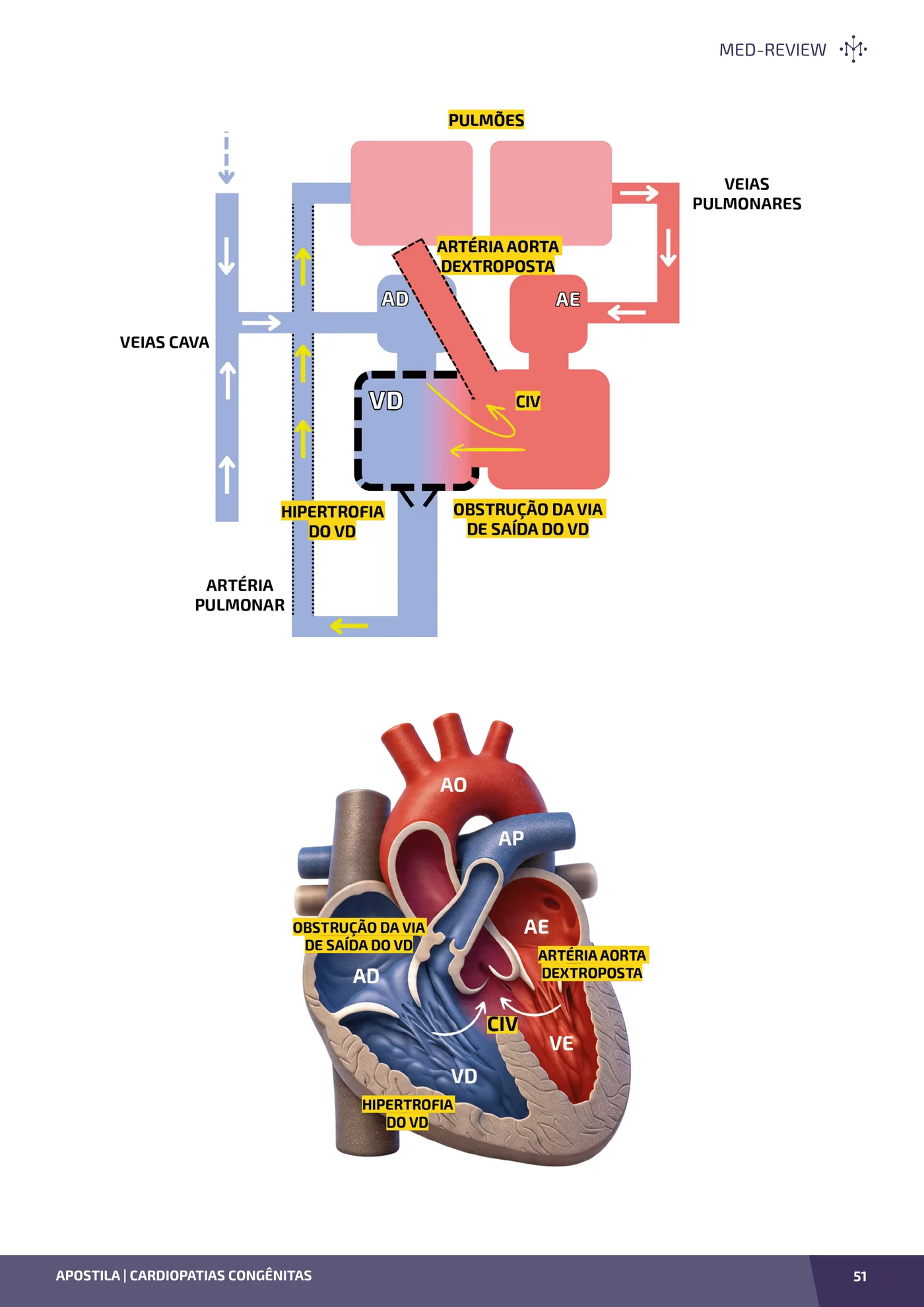 Página da apostila Cardiopatias congênitas: acianóticas, cianóticas, ECG, raio-X e conduta