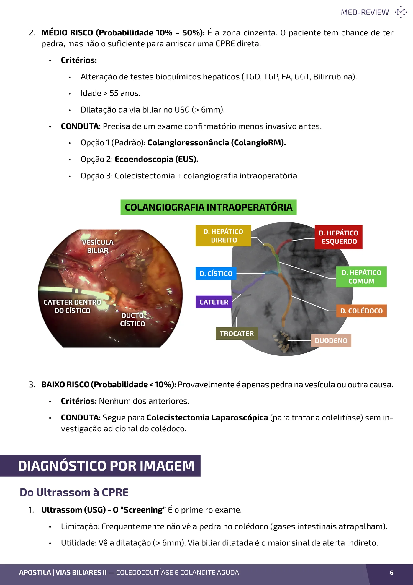 Página da apostila Coledocolitíase e colangite aguda: do cálculo à sepse biliar