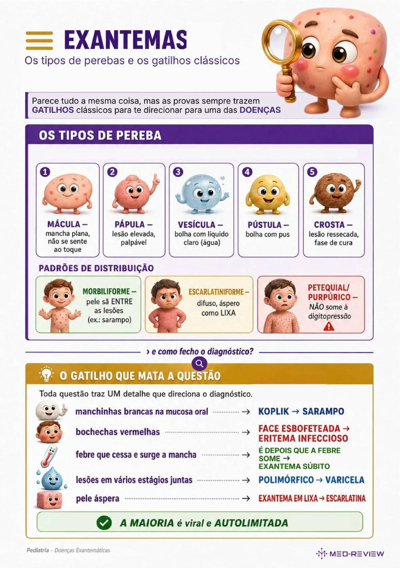 Página da ficha-resumo Doenças exantemáticas na infância