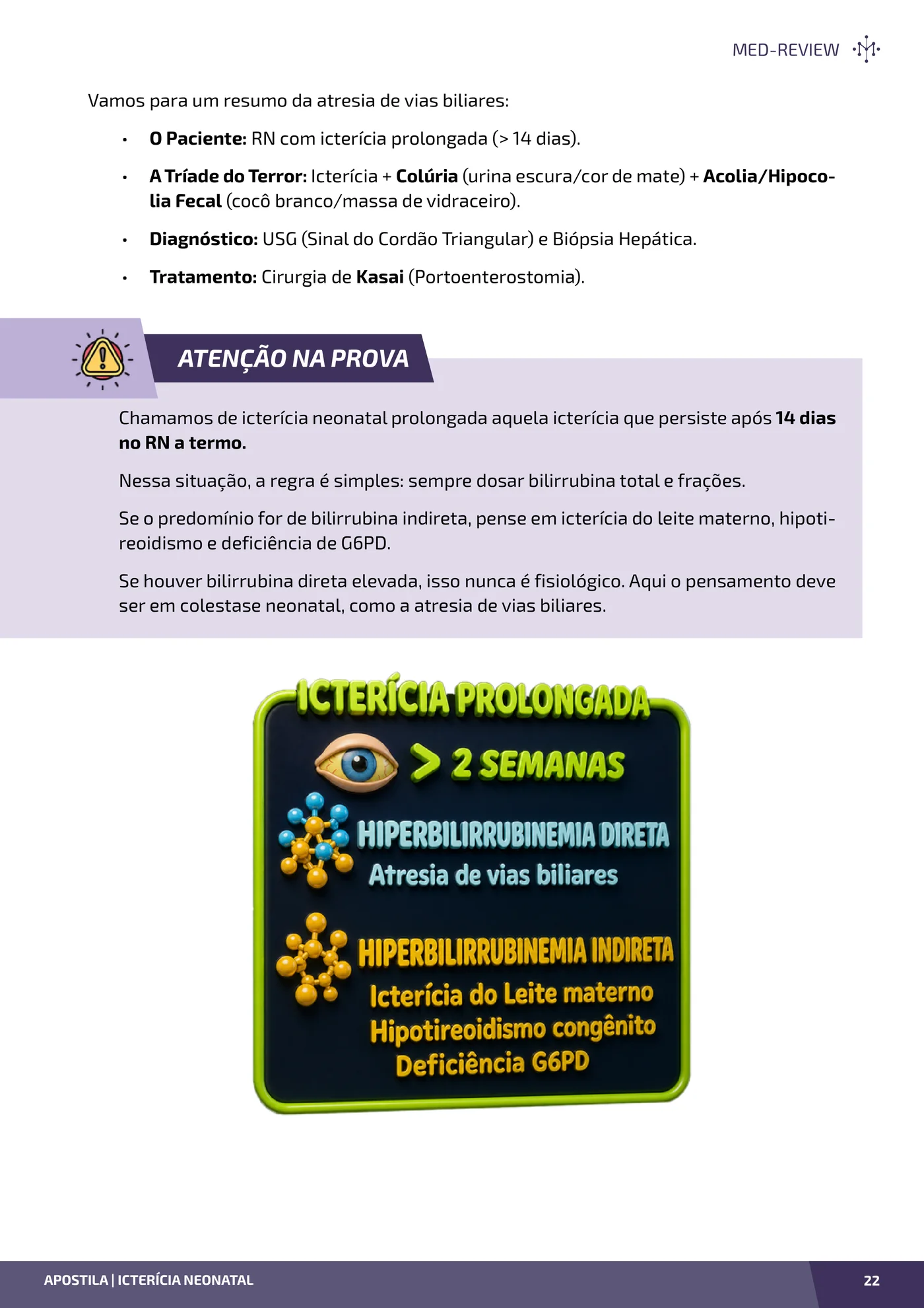 Página da apostila Icterícia neonatal: zonas de Kramer, hemólise e fototerapia