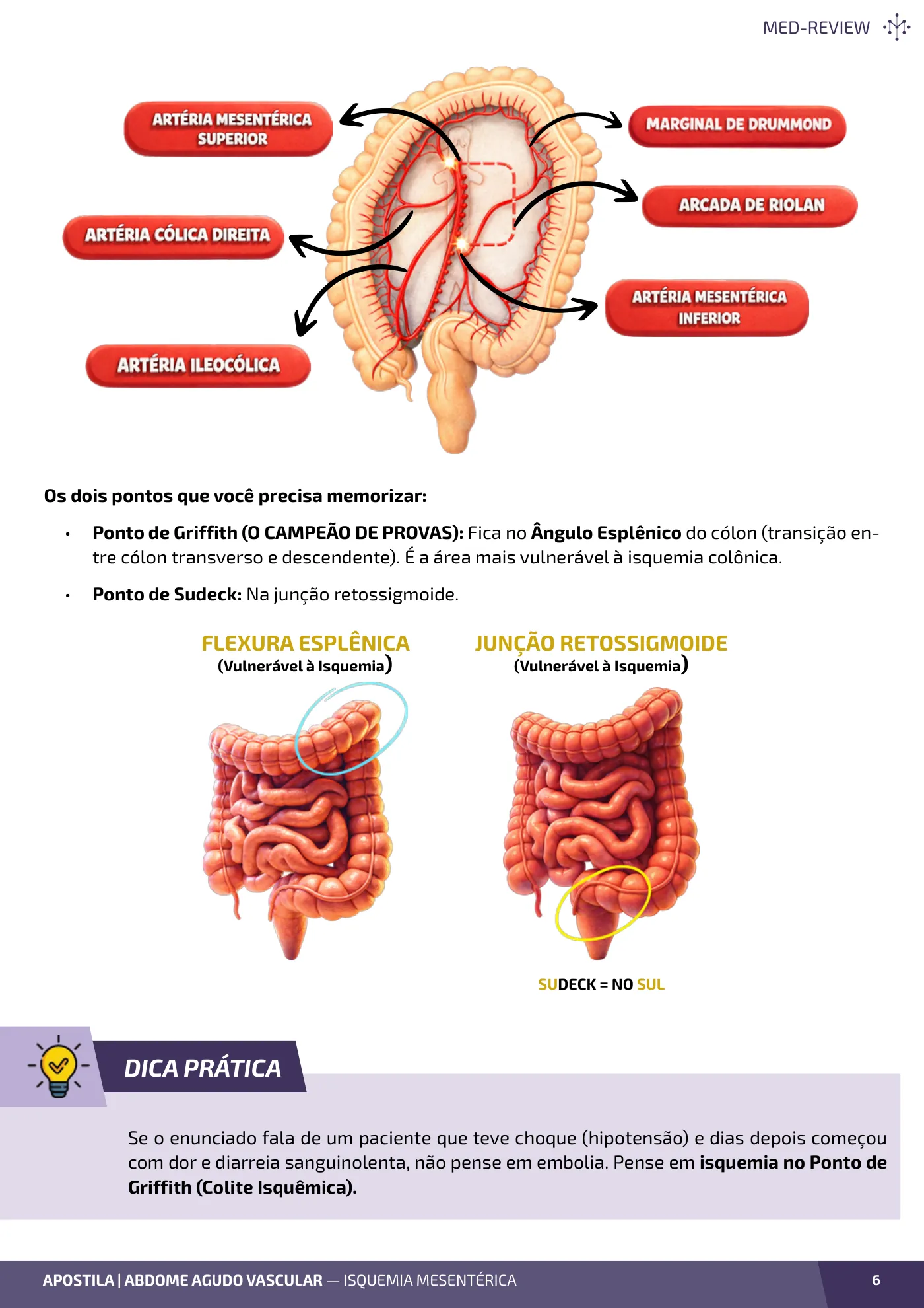 Página da apostila Abdome agudo vascular: isquemia mesentérica e colite isquêmica