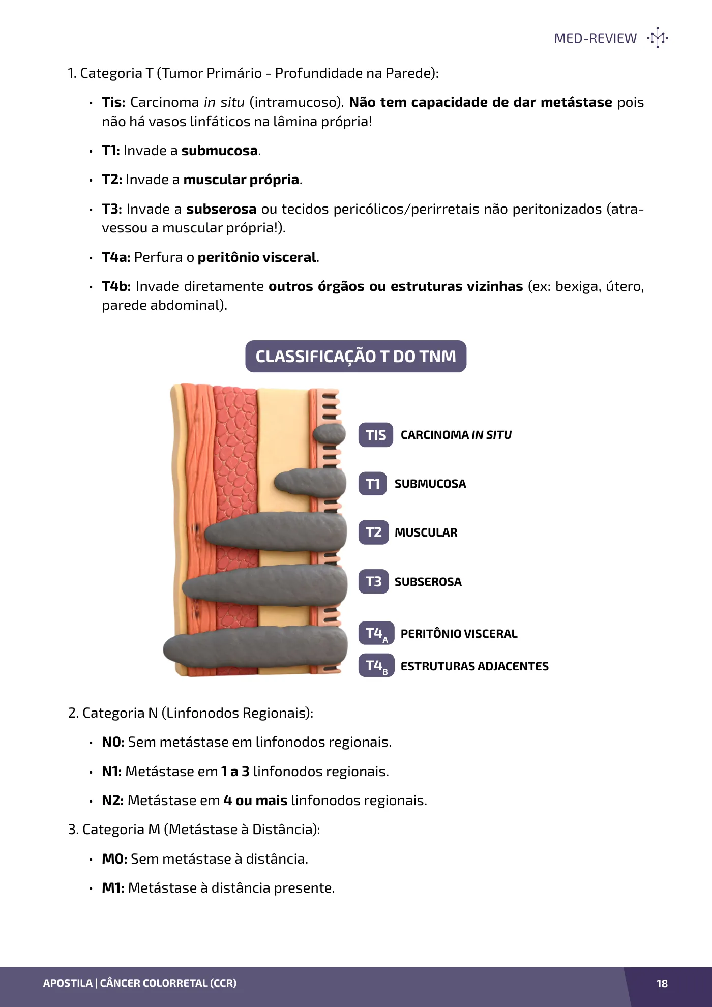 Página da apostila Câncer colorretal (CCR)