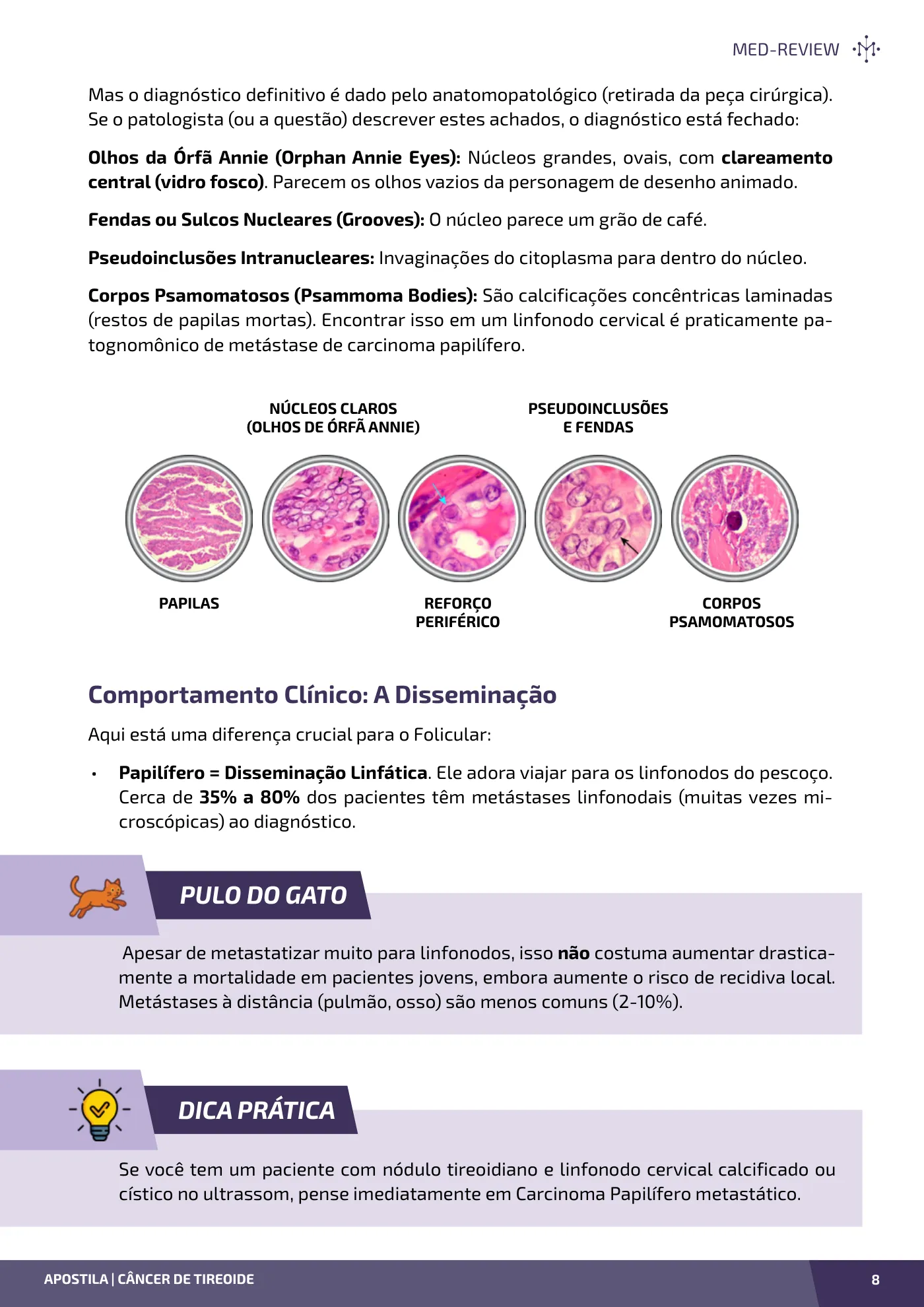 Página da apostila Câncer de tireoide: papilífero, folicular, medular e anaplásico