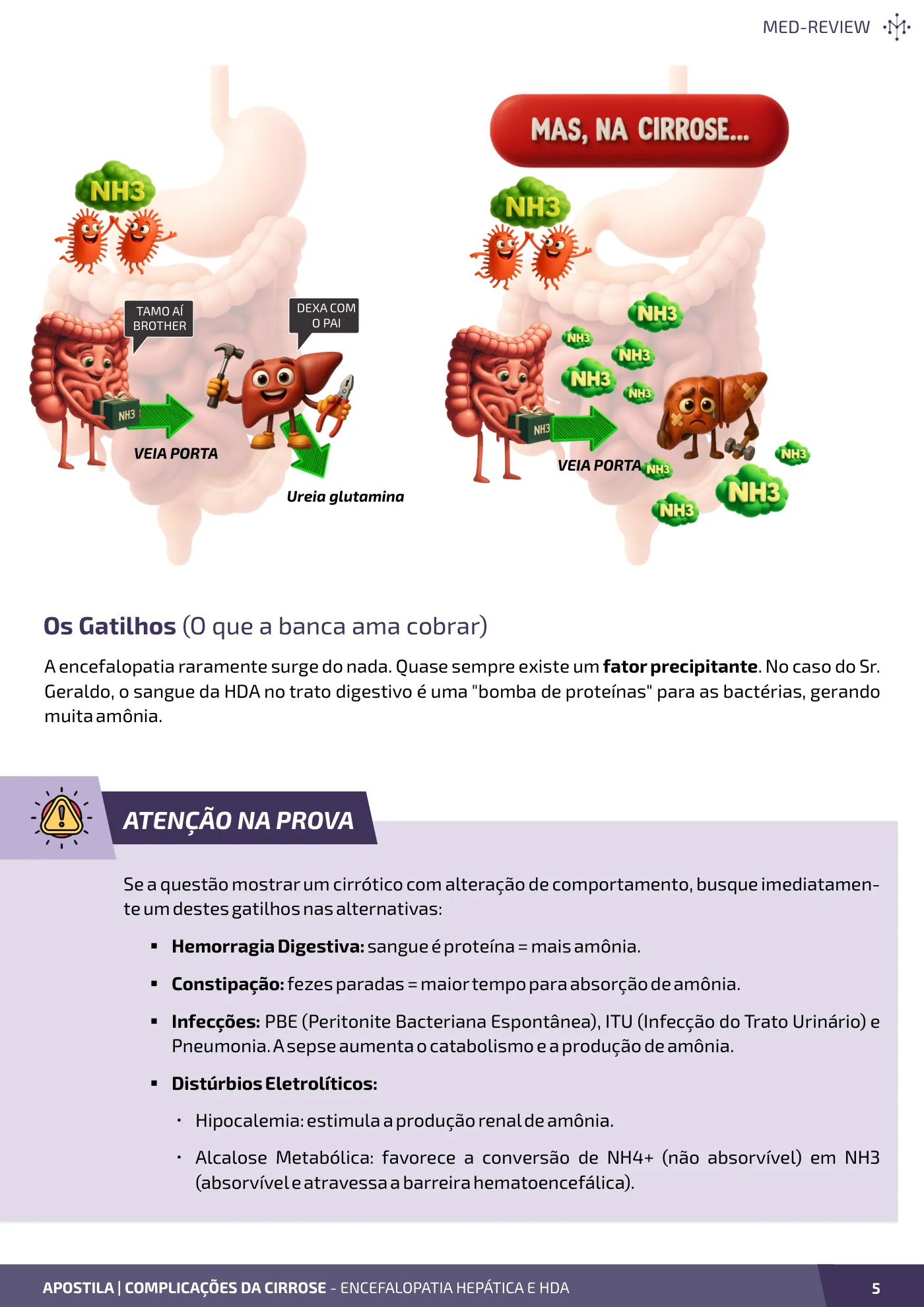Página da apostila Complicações da cirrose: encefalopatia hepática e HDA varicosa