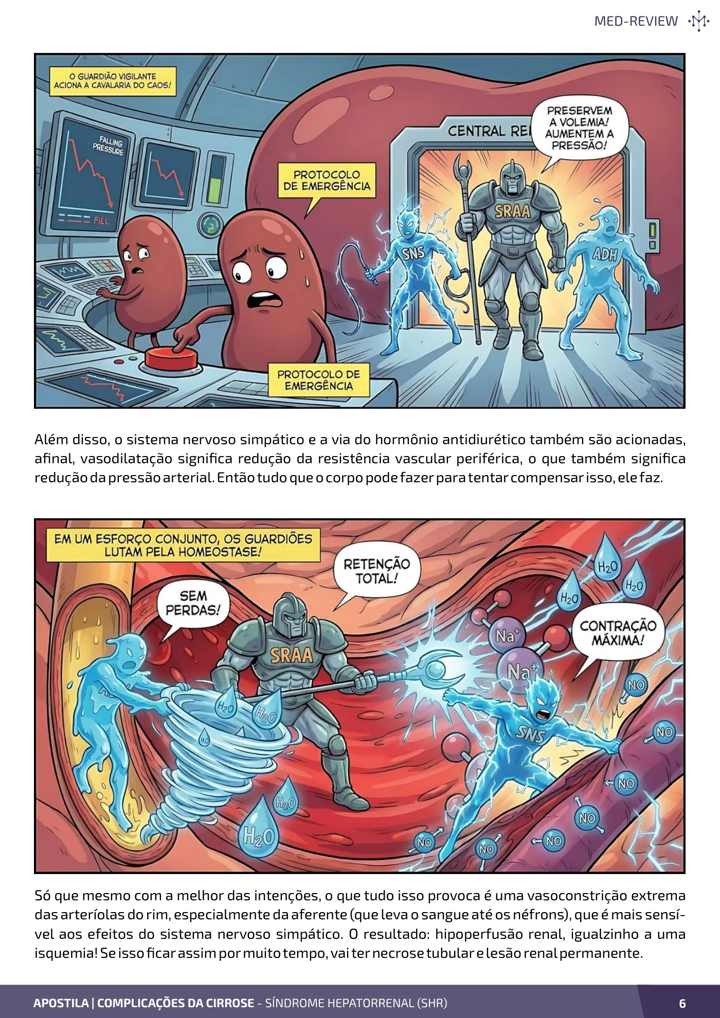 Página da apostila Complicações da cirrose: síndrome hepatorrenal