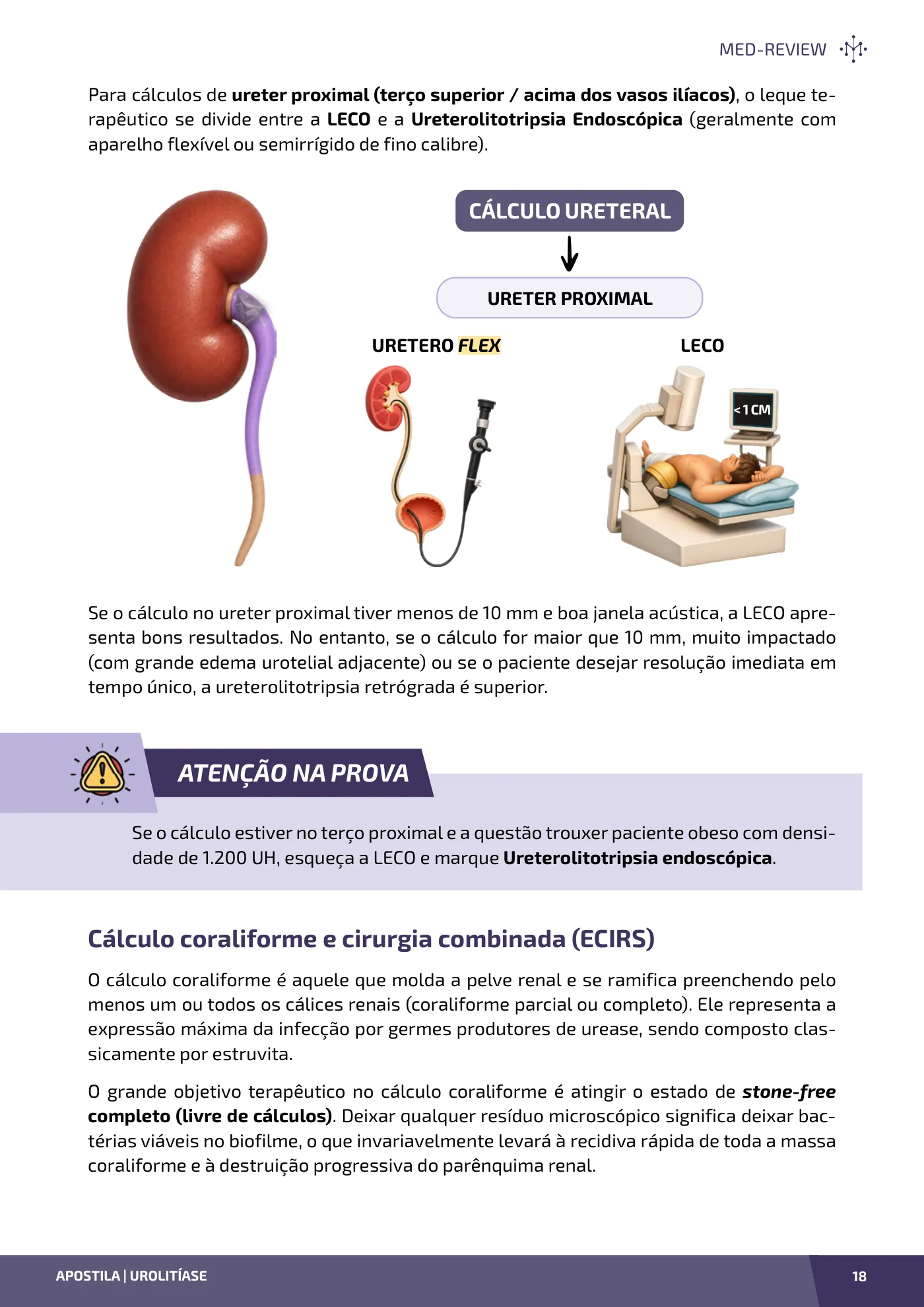 Página da apostila Urolitíase: da cólica nefrética à prevenção de recidiva